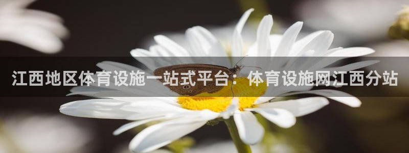 意昂体育3平台：江西地区体育设施一站式平台：体育设施