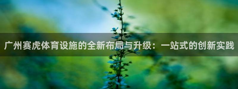 意昂3娱乐平台