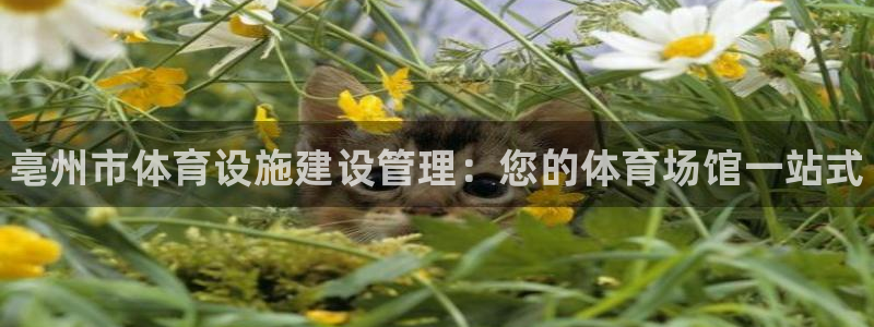 意昂体育3招商电话号码查询是多少：亳州市体育设施建设