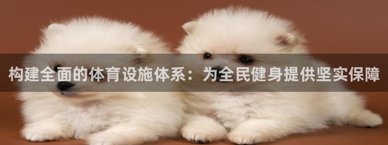 意昂3神州：构建全面的体育设施体系：为全民健身提供坚实保障