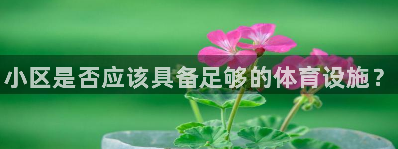 意昂体育3招商电话：小区是否应该具备足够的体育设施？
