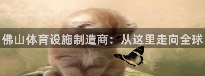 意昂体育3招商电话地址：佛山体育设施制造商：从这里走