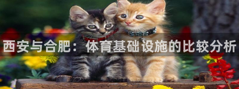 意昂体育3招商：西安与合肥：体育基础设施的比较分析