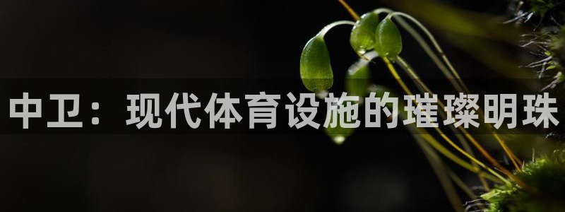 意昂3娱乐40996：中卫：现代体育设施的璀璨明珠