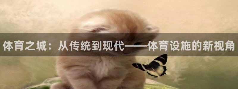德国意昂3集团：体育之城：从传统到现代——体育设施的