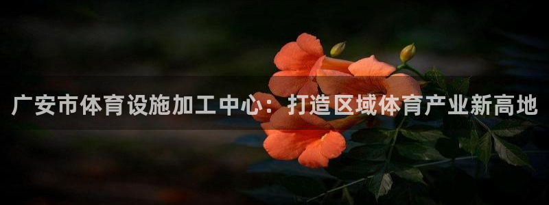 意昂体育3招商电话地址查询：广安市体育设施加工中心：