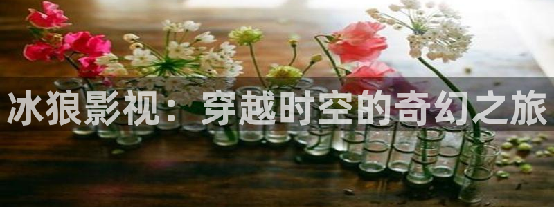 aaa在线影院：冰狼影视：穿越时空的奇幻之旅