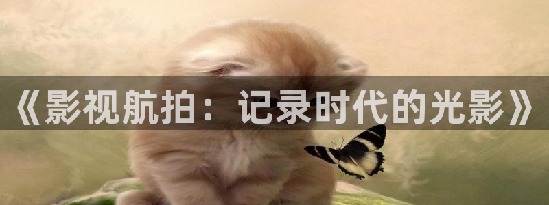aaaa影院：《影视航拍：记录时代的光影》