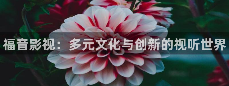 亚洲aa影院